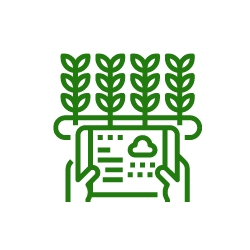 icono monitoreo cultivos