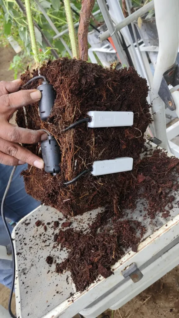 Fotografía de una persona mostrando cómo se ve la instalación de teros para a calidad de agua de riego.