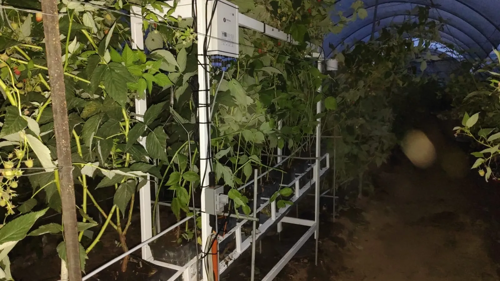 Calidad del agua de riego: cómo evaluarla y mejorarla para una agricultura más productiva